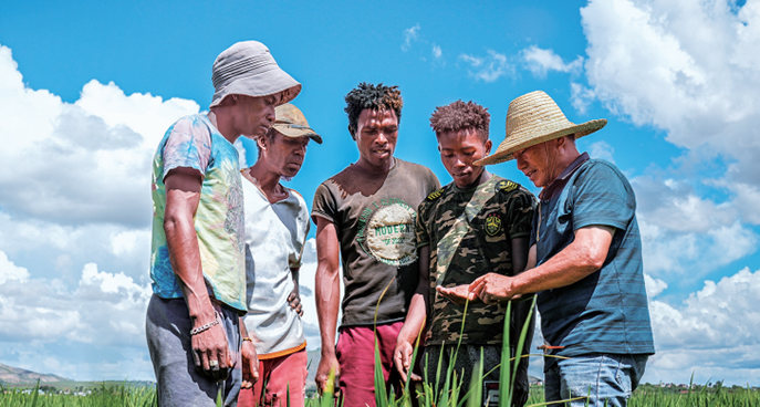 中国式现代化和非洲发展之路