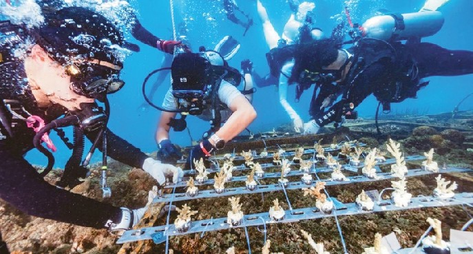 向海洋要生产力和增长点