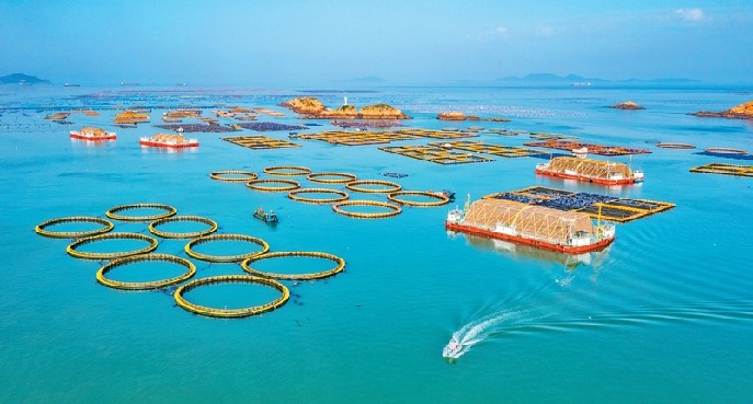 《求是》杂志编辑部:走有中国特色向海图强之路